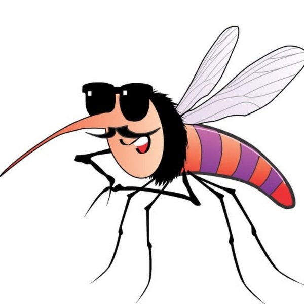 Муха рисунок