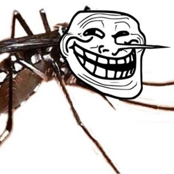Злой комар