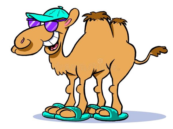 Верблюд мультяшный