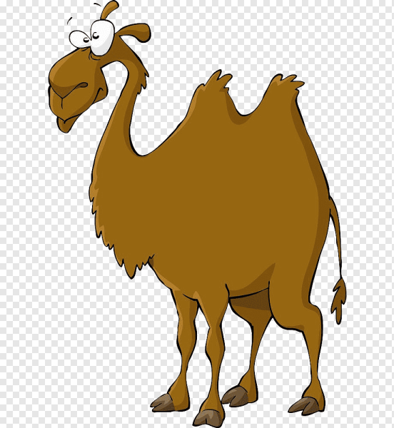 Верблюд мультяшный