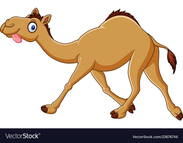 Верблюд мульт смешной