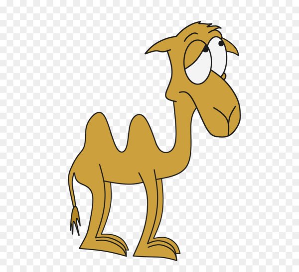 Верблюд мульт
