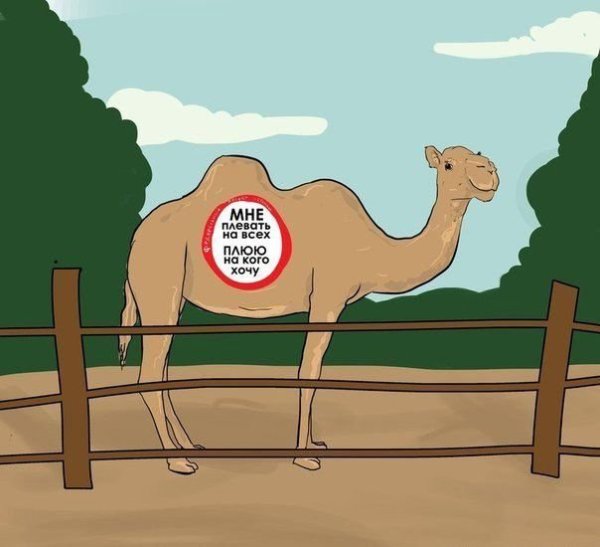 Верблюд Анимашка