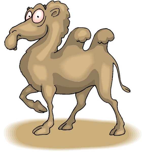 Желтый верблюд