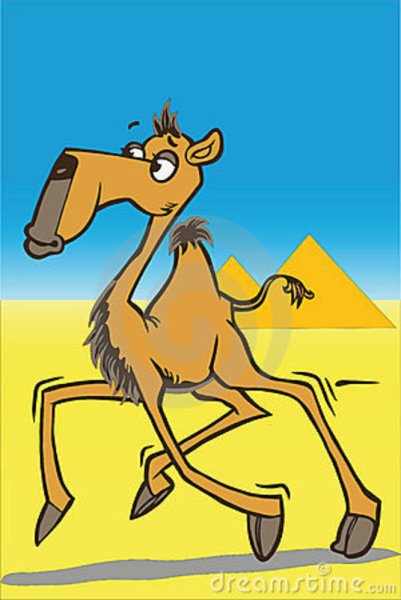 Чуковский верблюдица