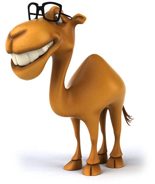 Смешной чел на верблюде