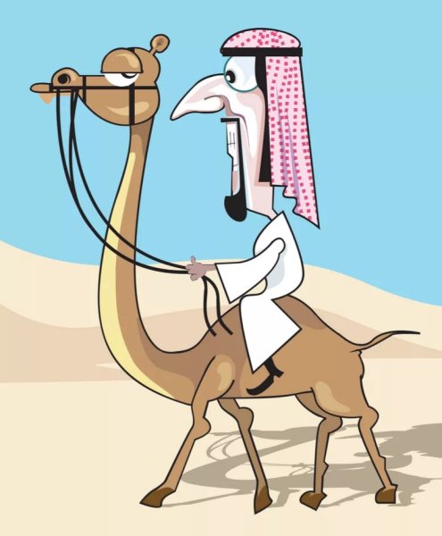 Верблюд юмор