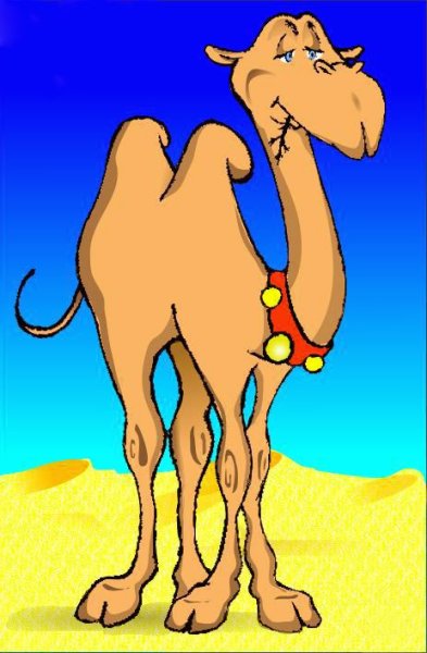 Верблюд gif