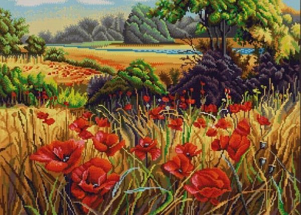 Золотое Руно Маковое поле