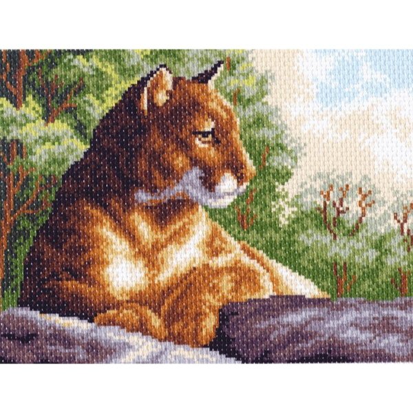 Матренин Посад Пума