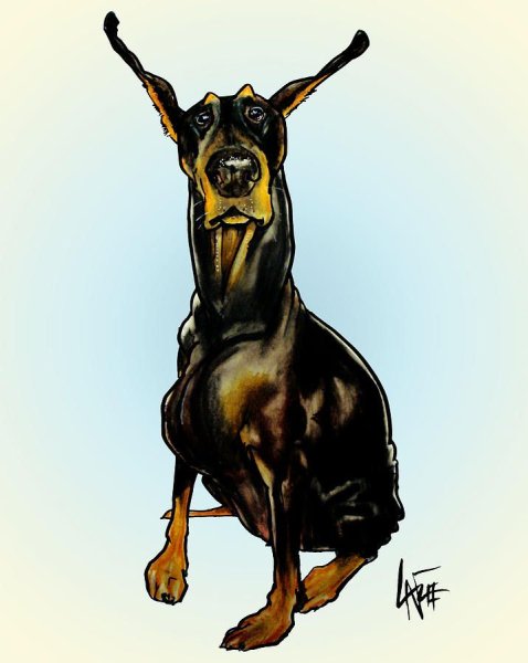 Джон Лафри Доберман