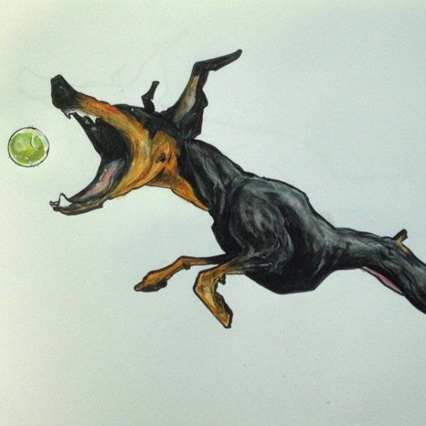 Собака в прыжке арт