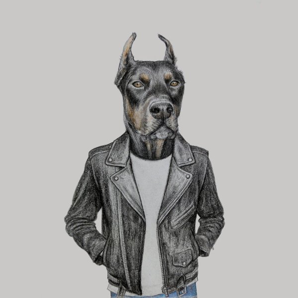 Доберман в костюме эскиз