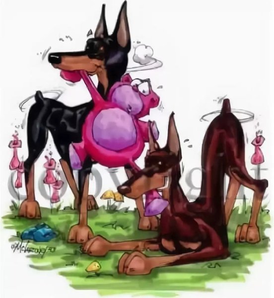 С днем рождения Доберман