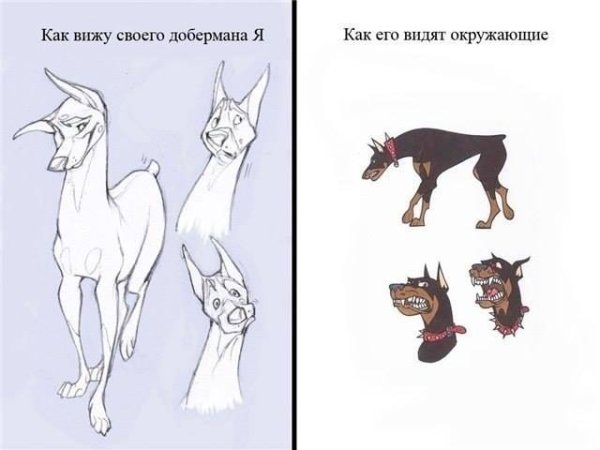 Доберман тату эскиз