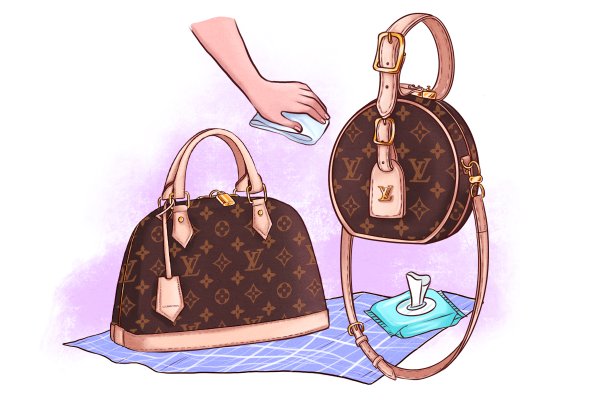 Louis Vuitton Bag vector