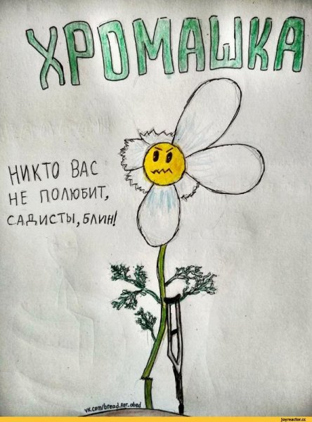 Забавная Ромашка