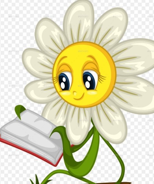 Ромашка улыбается