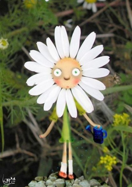 Ромашка улыбается