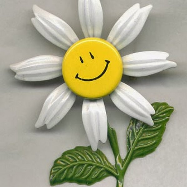 Ромашка улыбается