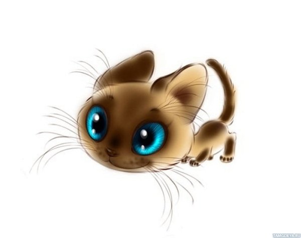 Людмила Мельникович