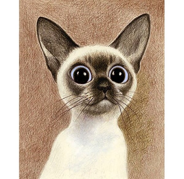 Сиамская кошка рисунок