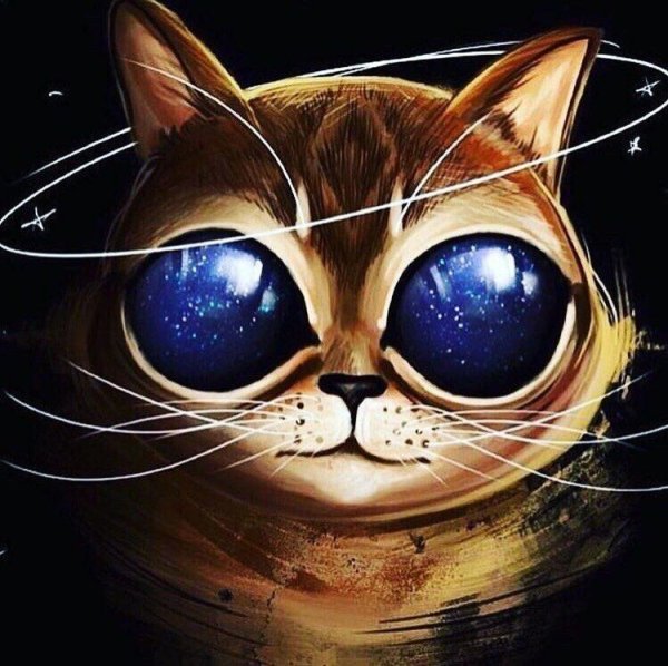 Кот с космосом в глазах