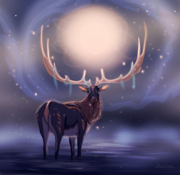 Эйктюрнир Эйктюрнир