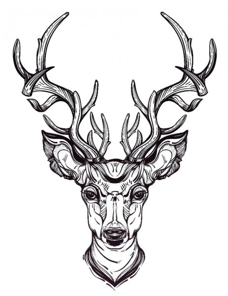 Стилизованная морда оленя