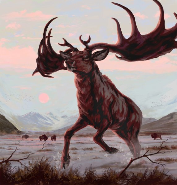 Большерогий олень Мегалоцерос