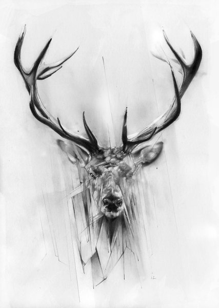 Арт олень тату