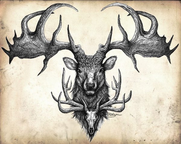 Череп оленя с рогами тату