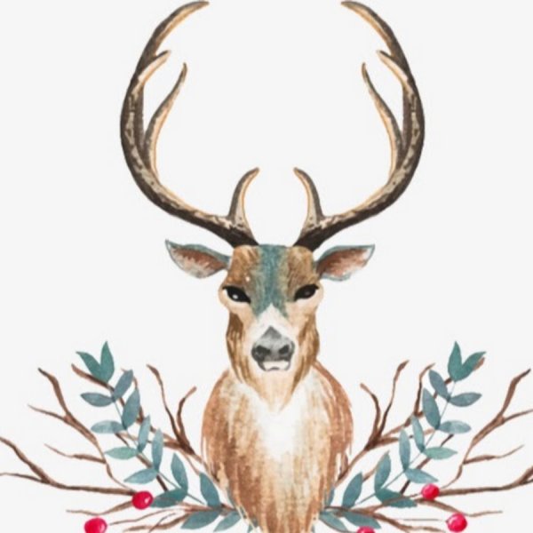 Олень акварелью на белом фоне