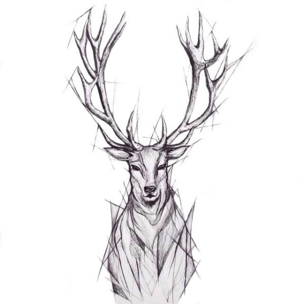 Тату оленя в стиле скетч