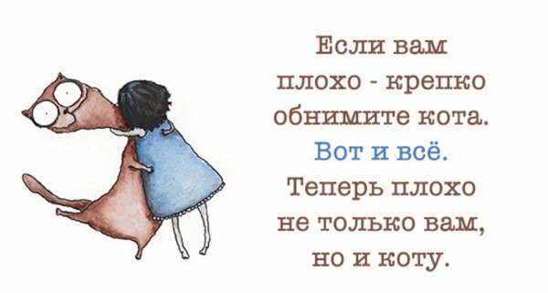 Смешной совет дня в картинках прикольные