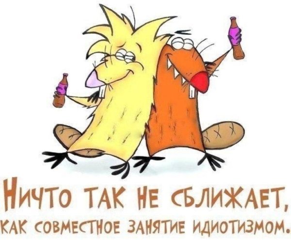Открытки смешные для поднятия