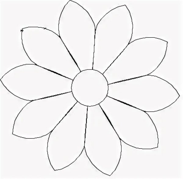 Трафарет цветка Ромашка