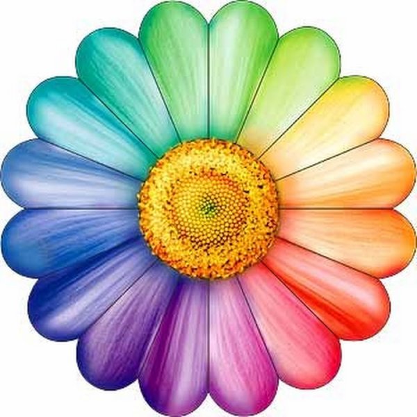 Ромашка с разноцветными лепестками
