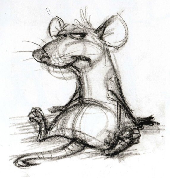 Крыса рисунок карандашом