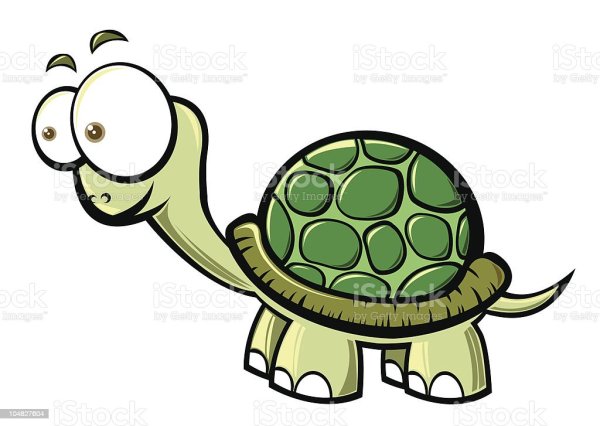 Глазки у черепахи