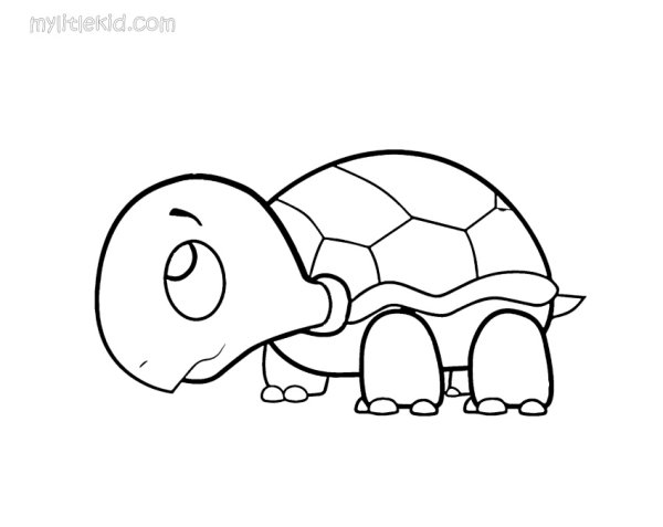 Черепаха раскраска цветная