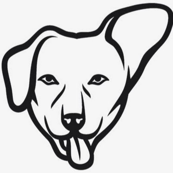 Голова собаки легко