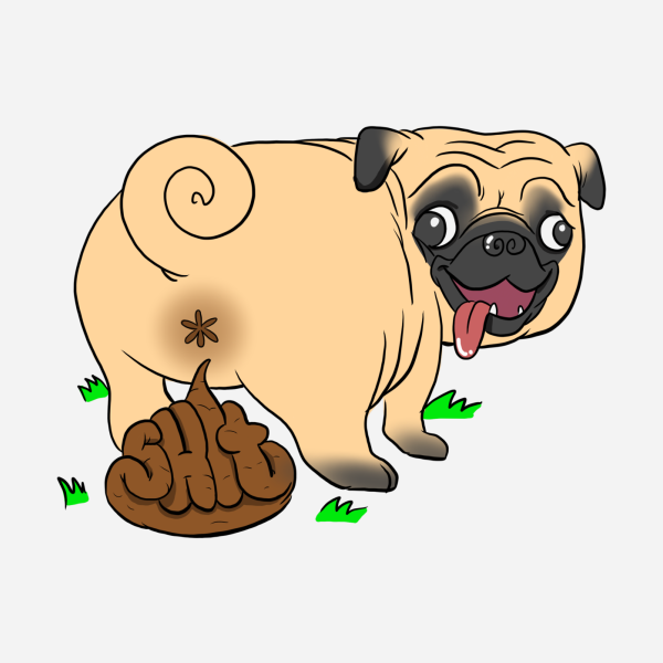 Мопс пукает