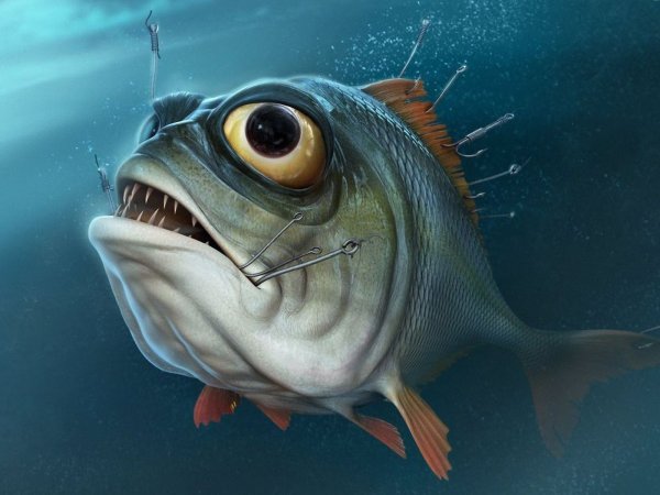 Рыба удильщик рисунок