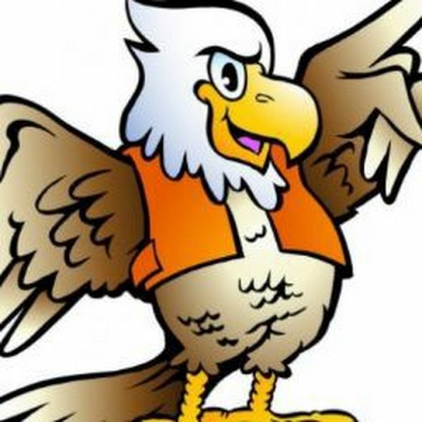 Белоголовый Орлан карикатура