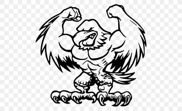 Мускулистый Орел