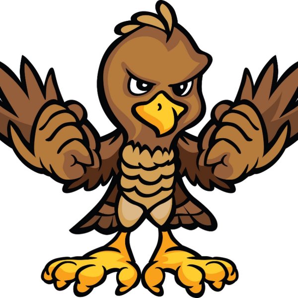 Ястреб мультяшный