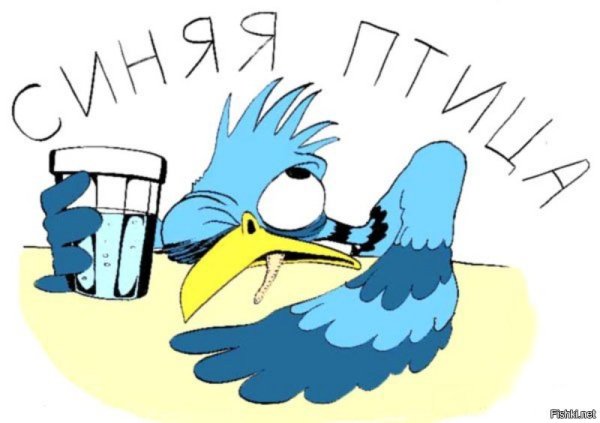 Прикольные птицы картинки
