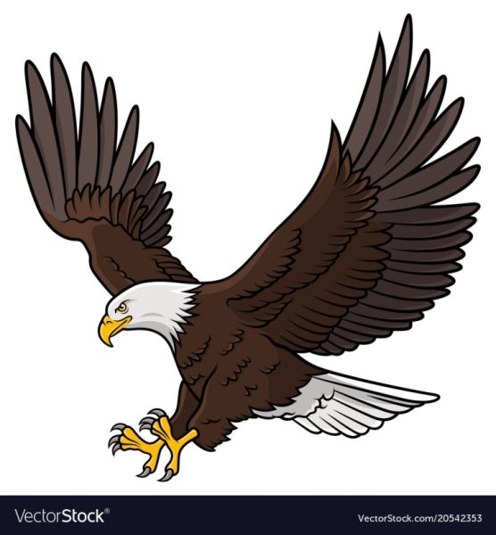 Мультяшный белоголовый орёл