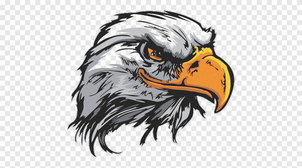 Векторное изображение орла
